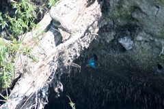 Killikus&reg; Fotographie